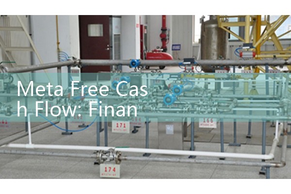 Meta Free Cash Flow: Financial Performance Data & Analysis